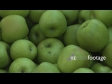 Apples Granny Smith 2 1047